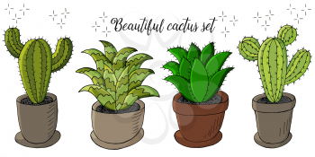 Cute vector illustration. Set of cartoon images of cacti in flower pots. Cacti, aloe, succulents in a creative collection. Decorative natural elements are isolated on white
