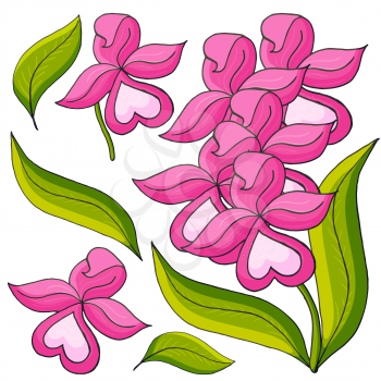 Orchids. Set of orchid. Pink flowers, individual elements. Cute flowers in hand draw style