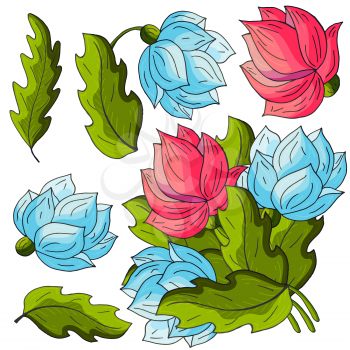 Peonies. Set of bouquets, inflorescences, leaves and flowers as separate elements. Blue and red peonies in hand drawing style. Vector flowers for cards, flyers, invitations