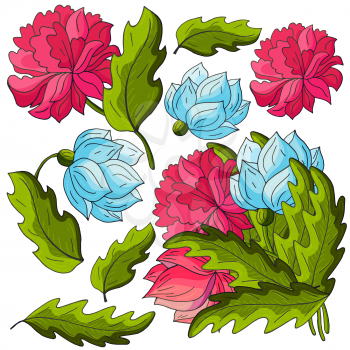 Peonies. Set of bouquets, inflorescences, leaves and flowers as separate elements. Blue and red peonies in hand draw style. Vector flowers for flyers, invitations