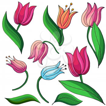 Tulips. Delicate spring flowers in hand draw style. Cute floral elements for your design