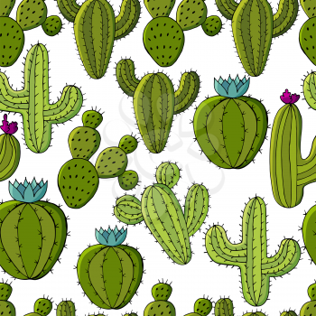 Vector seamless pattern of different cacti. Cute background from tropical plants. Exotic wallpaper. Trending image