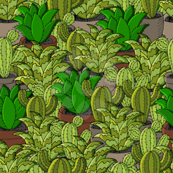 Vector seamless pattern of different cacti. Cute background from tropical plants. Exotic wallpaper. Trendy image