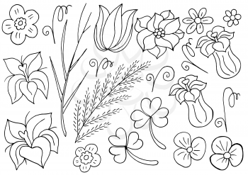 Collection of Monochrome elements. Flowers and leaves in hand draw style. Elements for your design. Tulips and bells
