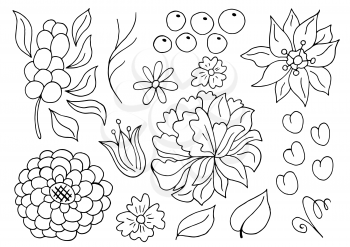Collection of Monochrome floral elements. Flowers and leaves in hand draw style. Elements for your design. Peonies and berries