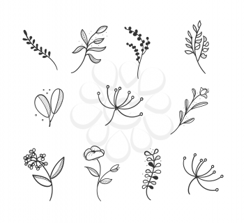 Botanical logo outline drawing. Minimal floral vintage style. Doodle plant vector illustration. Pure nature organic brush. Line drawing. Botanical floral badge collection. Eco product emblem set.
