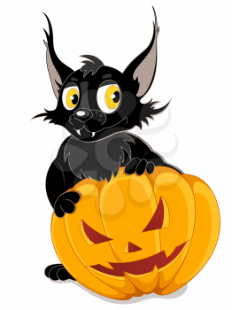 Black bat and Halloween pumpkin on a white background