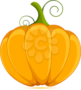 decorative orange pumpkin isolated on a white background
