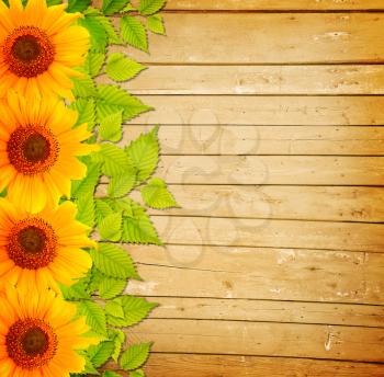 Background with wooden fence, green leaves and sunflowers