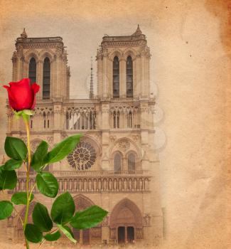 Vintage background with Notre Dame and red rose