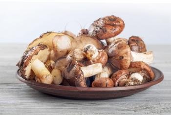 Edible wild mushrooms on a wooden background. Forest mushrooms in a clay plate.