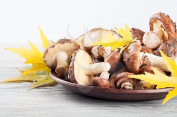 Edible wild mushrooms in a clay plate on a wooden background.