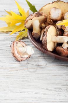 Edible wild mushrooms and leaves in a clay plate on a wooden background.