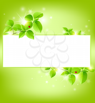 luxury shining green vector banner with leaves