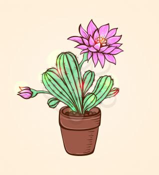Blooming pink cactus in a flowerpot. Hand drawn vector illustration.