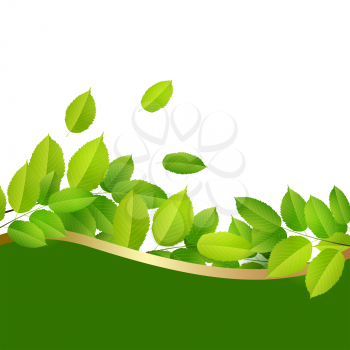 Spring nature banner with green leaves on a white background. Vector illustration.