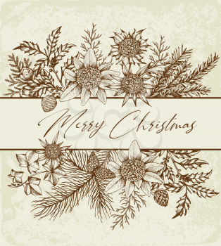 Vintage Christmas greeting card with evergreen plants and flowers. Decorative background for Christmas and new year. Hand drawn vector illustration.