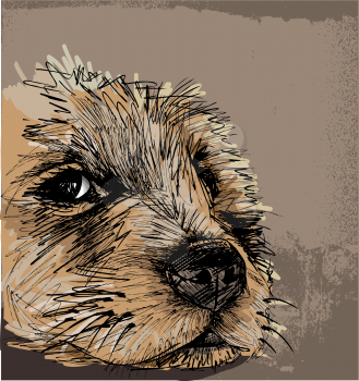 Sketch of a Dog, vector illustration