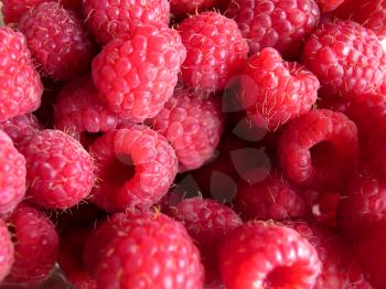 beautiful ripe raspberries fruit background