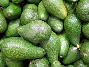 many avocado, delicious tropical fruit