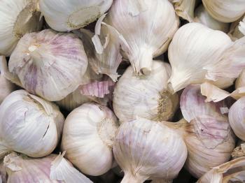 Garlic background in the maket