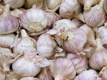 Garlic background in the maket