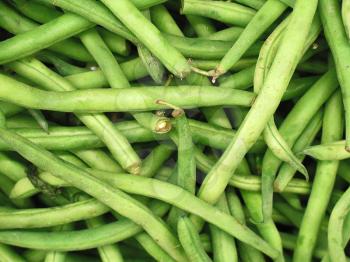 fresh green bean species for sale at the Farmers Market