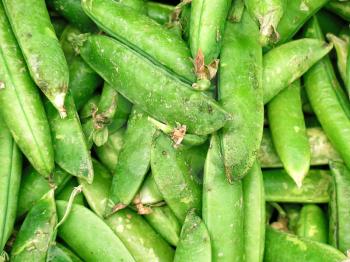 fresh green bean species for sale at the Farmers Market