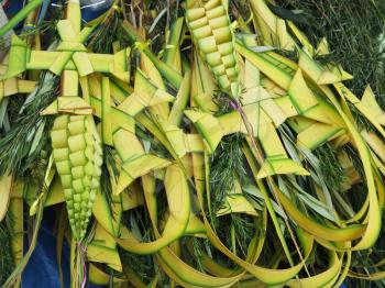 Decorated palm typical on Palm Sunday, Cusco Peru