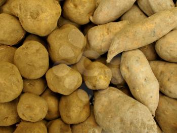 Yellow potato and sweet peruvian potato