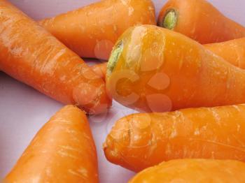 Fresh carrots