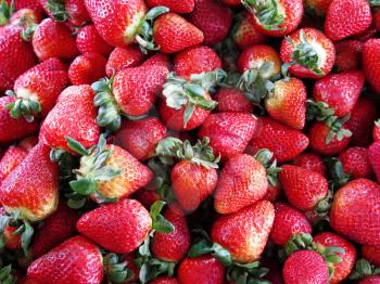 Group of Delicious strawberries background