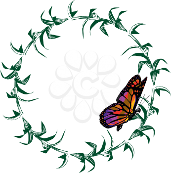 Beautiful monarch butterfly isolated on white background. Vector Illustration