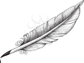 detail drawn Vintage quill for poets and writers. Ink drop is on separate layer and it can easily be removed