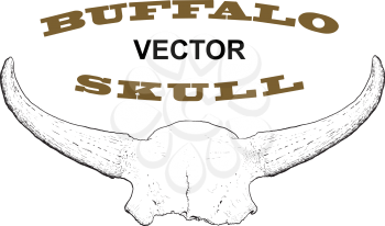 Old skull of buffalo horns forming the likeness of the frame. Isolated on white. The text inside the frame can be easily replaced