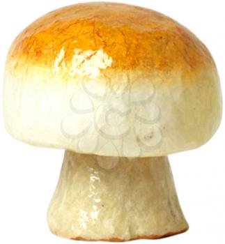 Royalty Free Photo of Mushroom Art