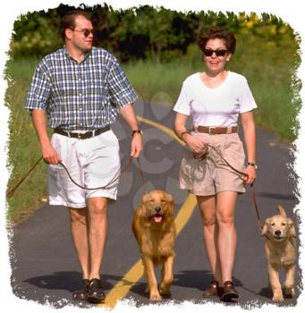 Royalty Free Photo of a Couple Walking Dogs