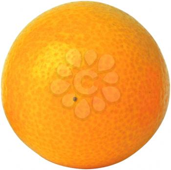 Royalty Free Photo of a Kumquat