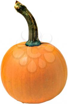 Pumpkin Photo Object
