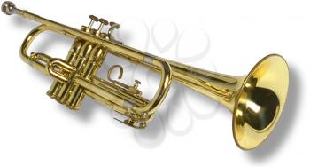 Trumpet Photo Object