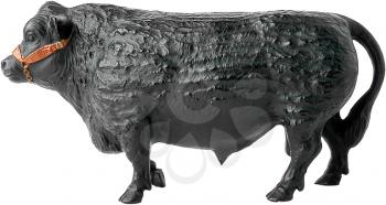 Bull Photo Object