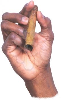 Cigar Photo Object
