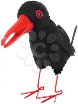 Crow Photo Object