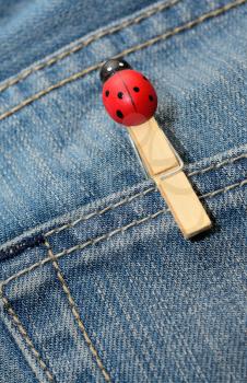 Closeup shoot of jeans pocket with small wooden peg with ladybird.