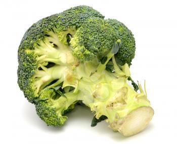 Macro shoot of big broccoli.