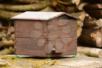 Home made decorative bumblebee nest from the wood in the garden.