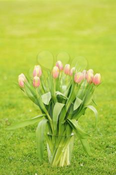 Pink tulips in the glass vase on the grass in garden.