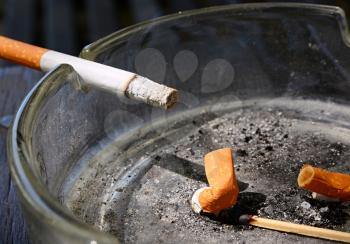 Closeup of the burnt cigarette lying in an ashtray.