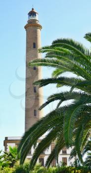 Lighthouse in Maspalomas with palm in front, Gran Canaria 
