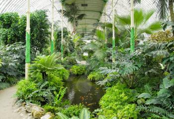 Big palm greenhouse in Lednice castle, Czech Republic with exotic trees, palms and flowers. The interior contains tourist paths with seats and lagoon with koi carps. 